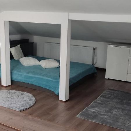 Мансардна Никол Apartment Vidin Ngoại thất bức ảnh