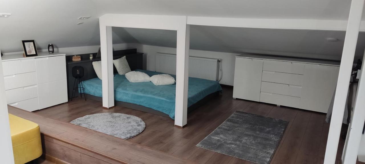 Мансардна Никол Apartment Vidin Ngoại thất bức ảnh